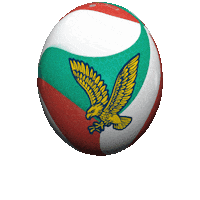 Go Hawks Sticker by Humber Hawks