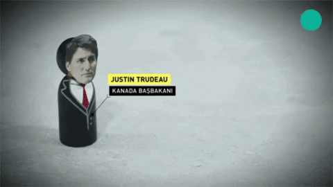 Justin Trudeau Canada GIF by GZT