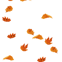 Halloween Tesco Sticker by TescoIreland