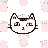 Cat 고양이 Sticker
