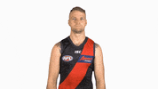essendonfc jake dons bombers essendon GIF