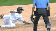 claps celebrates GIF by MLB