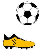 Football Soccer Sticker by Site Destek