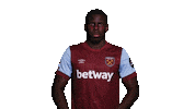 Premier League Sport Sticker by West Ham United