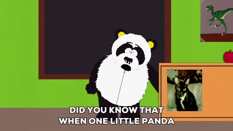sexual harassment panda GIF by South Park 