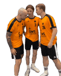 Hbfr Sticker by Handballfreunde Pankow 01