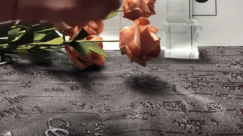 Gifts_Frame giphyupload GIF