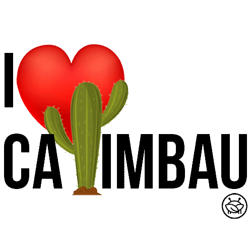 vemdeandada giphyupload pernambuco pernambuco meu pais vem de andada Sticker