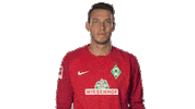 werder bremen yes Sticker by Bundesliga