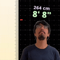 8' 8"