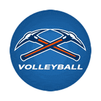 Uw-Platteville Axe Sticker by University of Wisconsin Platteville Volleyball