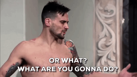 episode 11 ufc GIF
