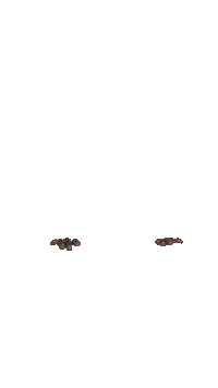 Sport Team Sticker by spardabw