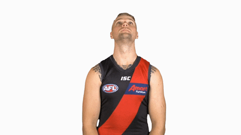essendonfc giphyupload jake dons bombers GIF