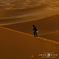 GIF by John Wick: Chapter 3 - Parabellum