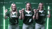 Softball GIF by RiverHawk Sports