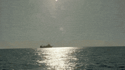tbs network comedy GIF by The Detour