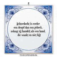 Humor Nl GIF by Tegelspreuken.nl