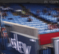 Crystal Palace Football GIF by CPFC