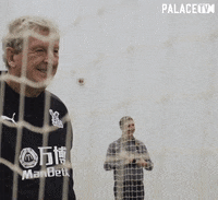 Crystal Palace Nod GIF by CPFC