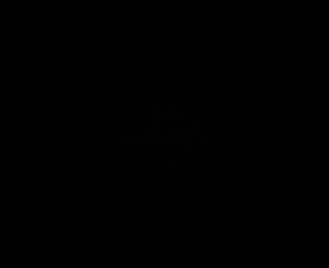 boico giphygifmaker GIF