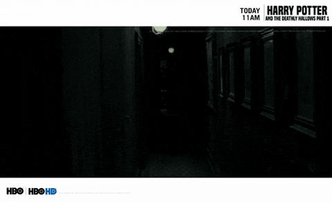 harry potter GIF by HBO India
