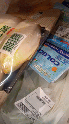 Simongip giphyupload GIF