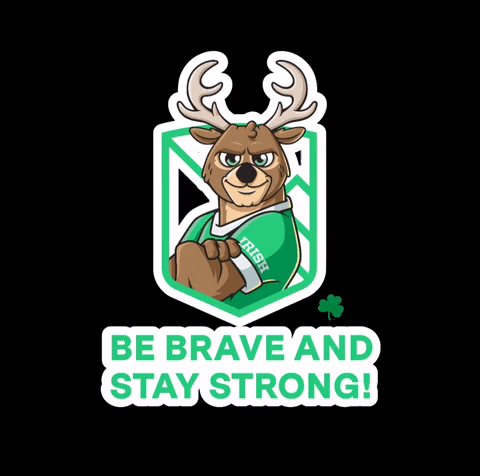 irishmonterrey giphyattribution elk irishmty GIF