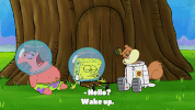 season 9 episode 23 GIF by SpongeBob SquarePants