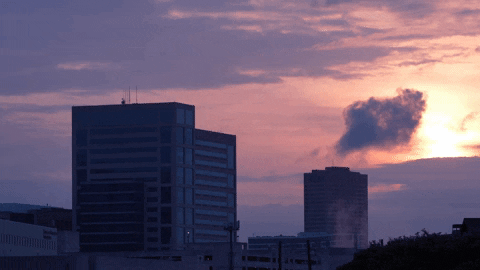 Education Vocabulary GIF by DIIMSA Stock - Find & Share on GIPHY