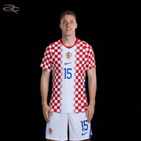 Fifa World Cup Uefa GIF by Respective