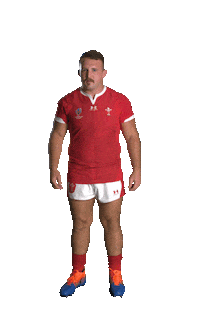 Rugby Union Sport Sticker by Rugby World Cup
