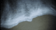 beach sea GIF