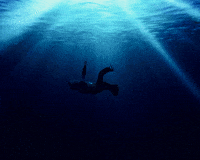 Masri GIF by Avalon Music