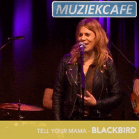nporadio2 replay npo radio 2 avrotros blackbird GIF