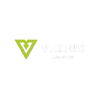Vls Sticker by Virtus Logistics