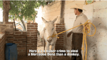 man moving GIF by Fusion