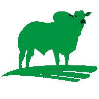 Granusa Beef Sticker by Granusa Paraguay