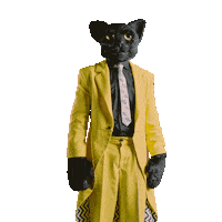 StudioModerna cosplay costume black friday black cat Sticker