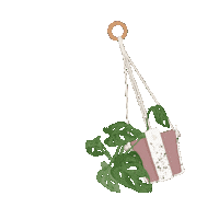 Whitejungle plant monstera suspension whitejungle Sticker