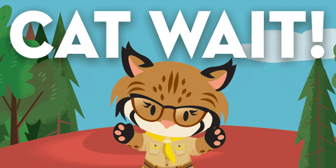 Happy Cat GIF by AppExchange