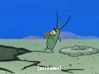 season 6 episode 25 GIF by SpongeBob SquarePants