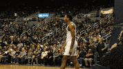 NevadaWolfPack college basketball nevada wolf pack unr GIF
