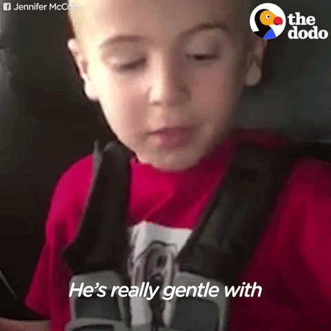 GIF by The Dodo