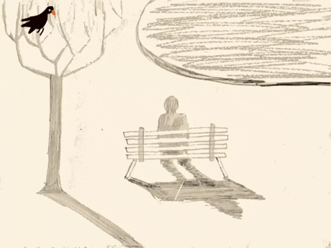 Black Bird Dreaming GIF by Barbara Pozzi