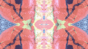 Art Design GIF by jorgemariozuleta