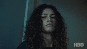 Eyebrow Raise Reaction GIF by euphoria