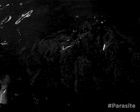 Black And White Parasite GIF by Madman Films