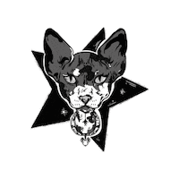 Sealma1994 love cat instagram cats Sticker