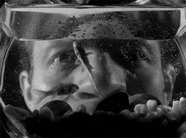 stanley kubrick water GIF by Maudit